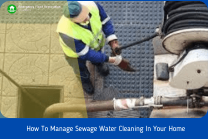 How-To-Manage-Sewage-Water-Cleaning-In-Your-Home